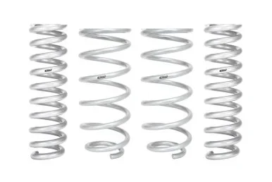 Eibach F-150 Pro-Truck Lift Kit – Excludes SVT Raptor (2009-2013)