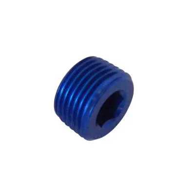 Goodridge 3/8 Inch NPT Blanking Plug