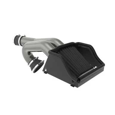 K&N F-150/Raptor DryFlow Cold Air Intake (2015-2025)