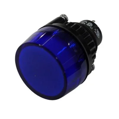 Large Blue Warning Light