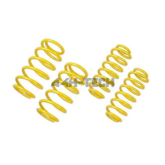 ST suspension lowering springs 30/30mm incl. TUV (Honda Accord 03-07 2.4i/ 2.2 CDTi)
