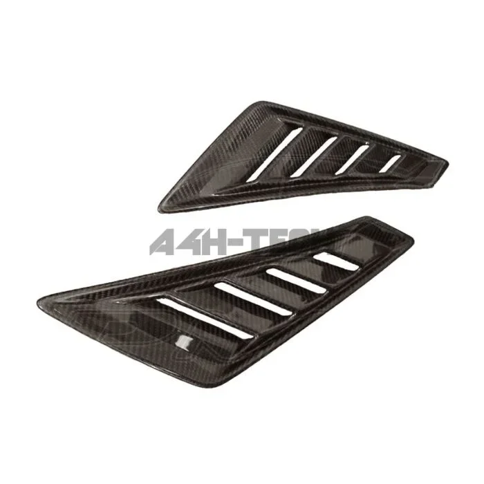 Tegiwa carbon fender vents (Civic 2015+ Type R Turbo FK2)