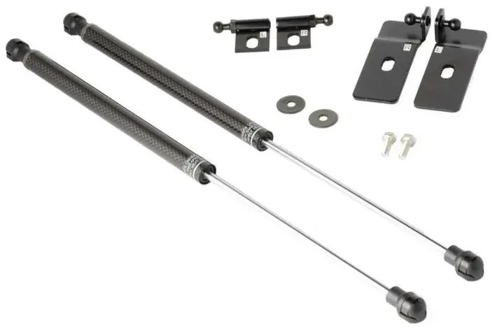 Tomioka Racing Carbon Fiber Hood Damper Mitsubishi EVO X CZ4A